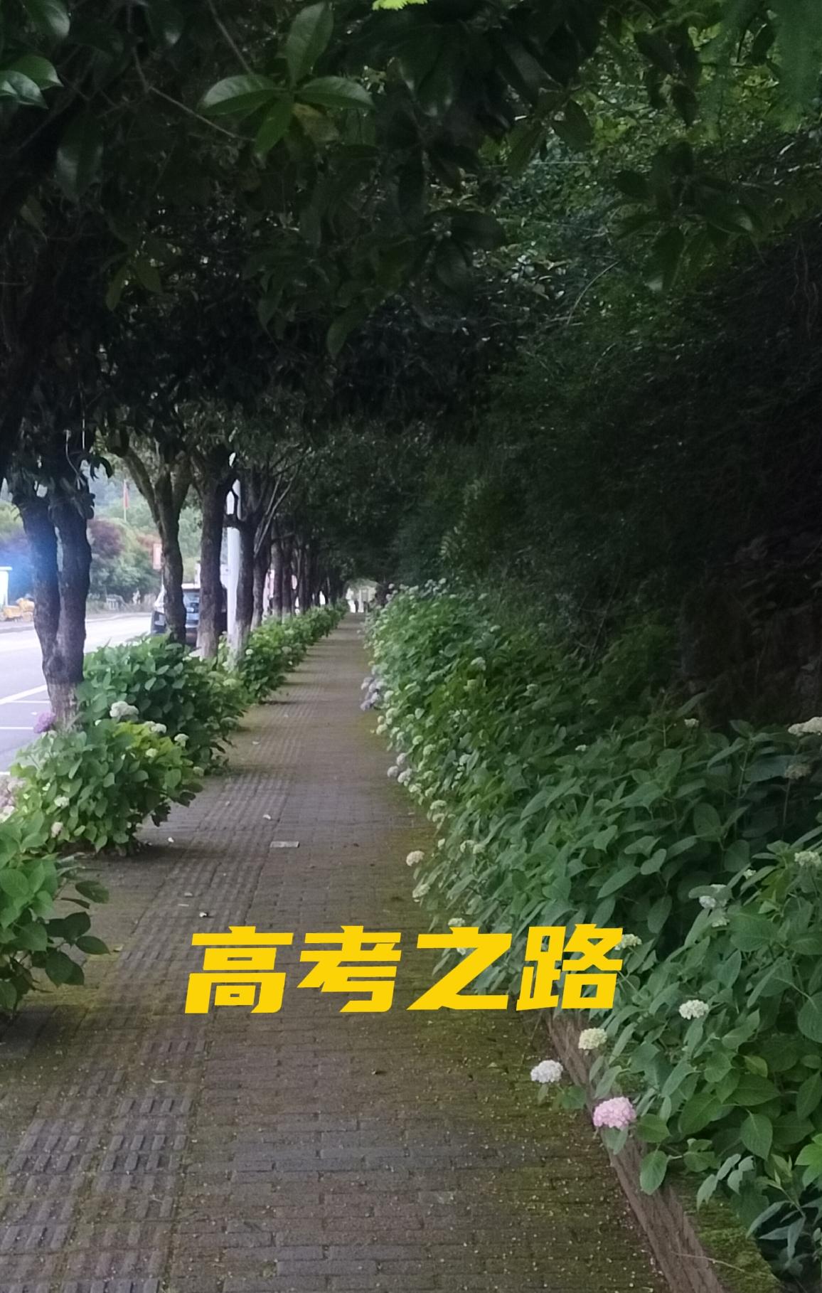 “你是高考完了，不是家里发财了”！
这是一个高考家人对孩子的对话。
高考结束后，