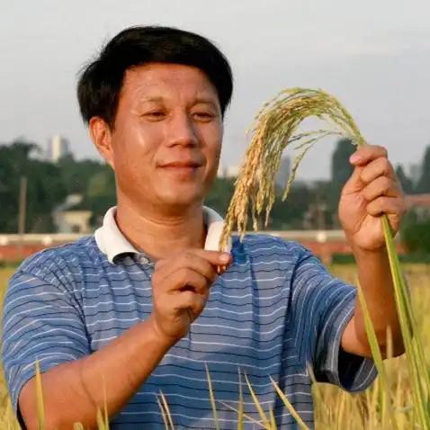 国内知名水稻专家，深耕广西农业领域数十年邓国富，在卸任广西农科院党委书记和院长半