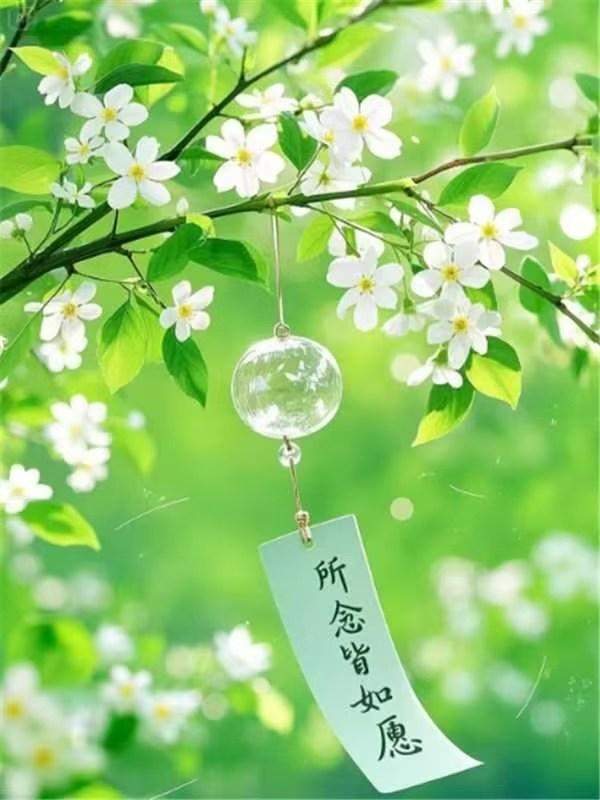 愿你所念皆如愿，美好如花盛开。🌸✨