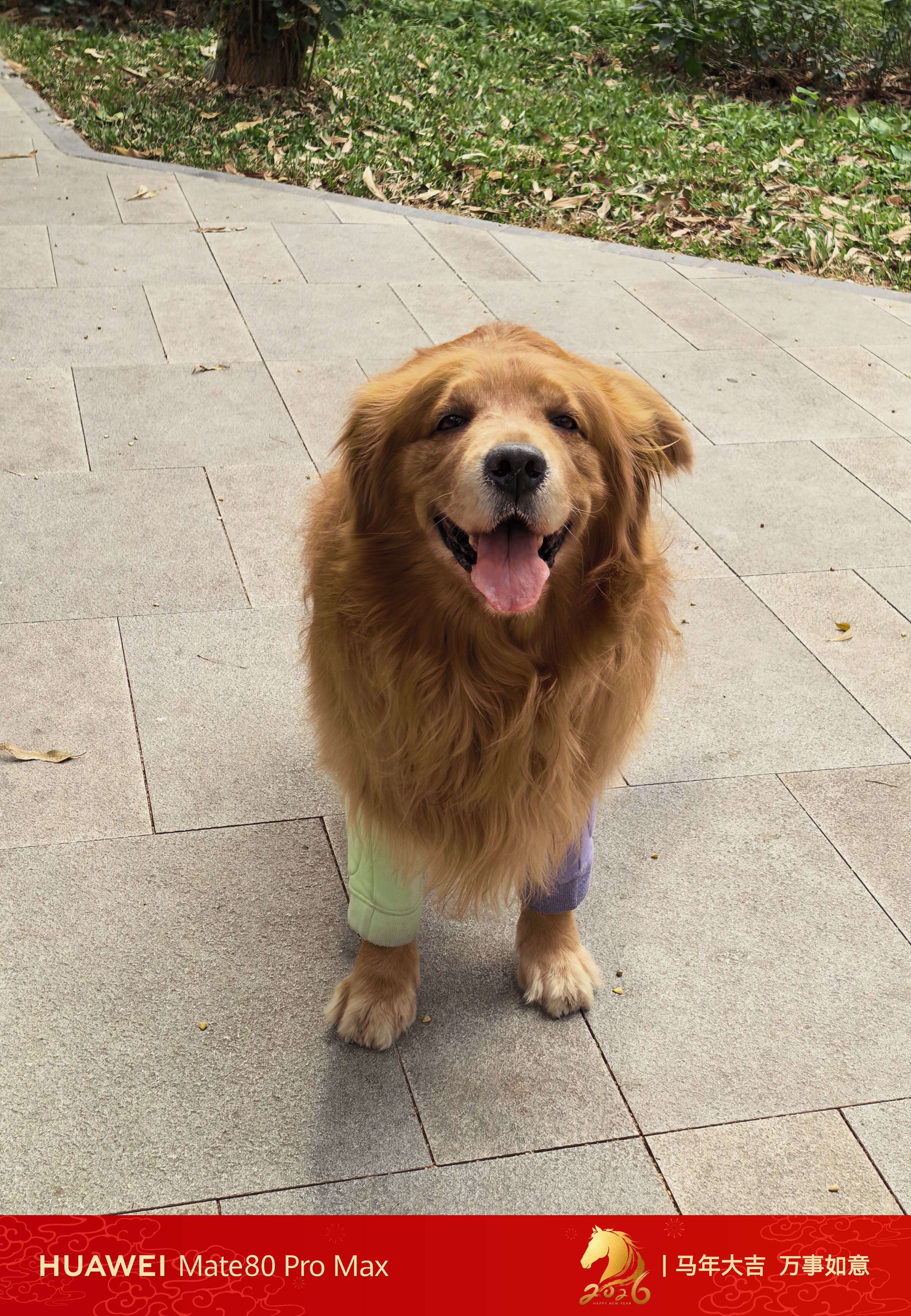 啊华上新春水印咯，时间限时在3月8号前，这段时间各家都会跟进新春水印 