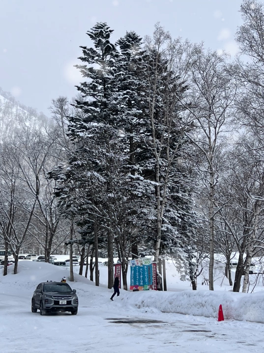 二世谷的雪已经下了两天一夜，教练一会儿给我上课，说实话我现在一看缆车就想摔倒，甚