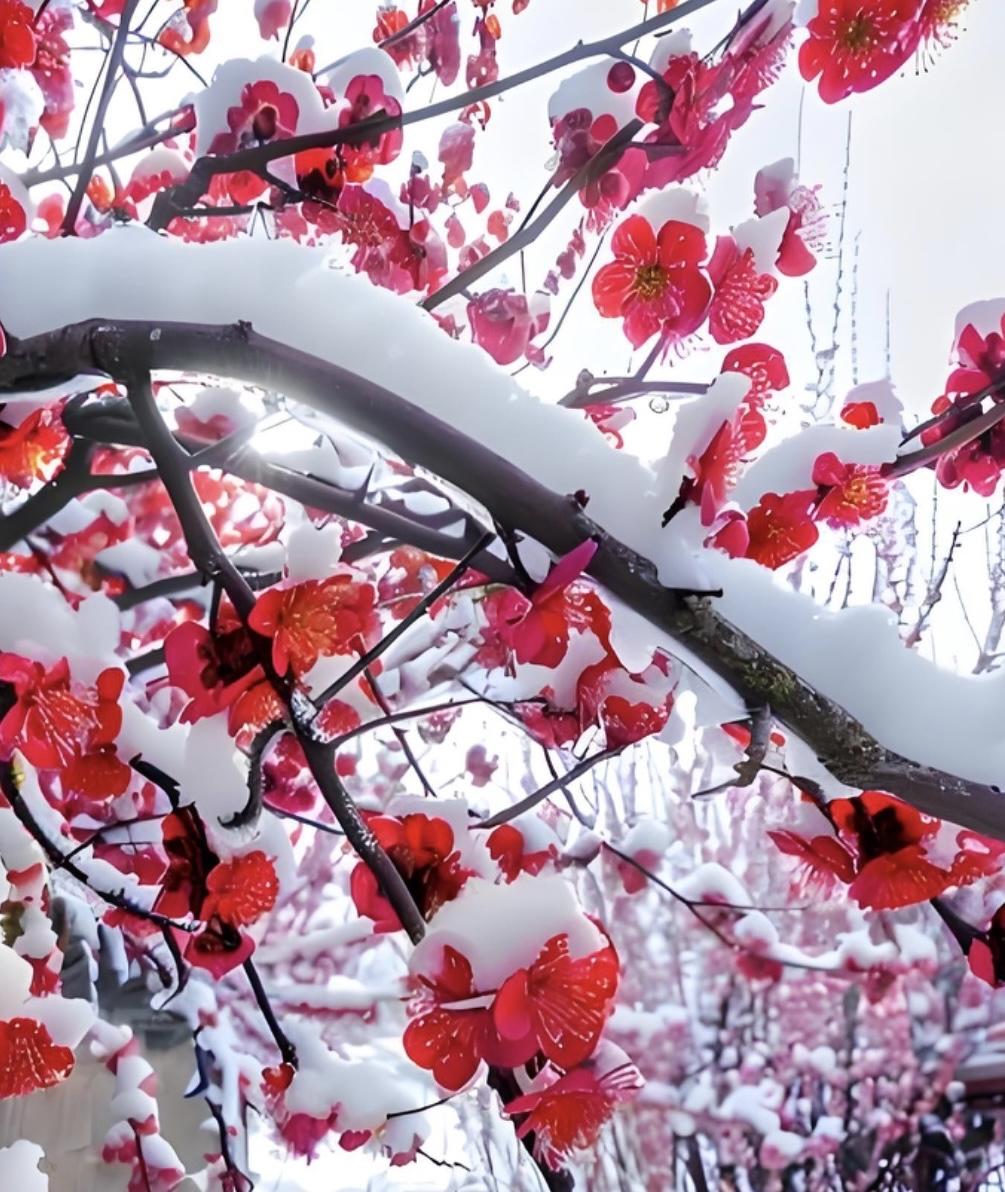 上联：冬雪纷飞梅绽蕊，请对下联春风暗度兰凝香。