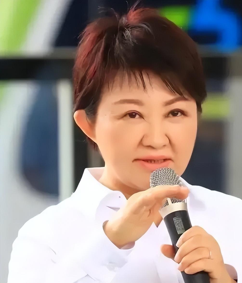 在当下的舆论场中，一个政治人物的形象往往由一系列标签所定义。台中市长卢秀燕正深陷