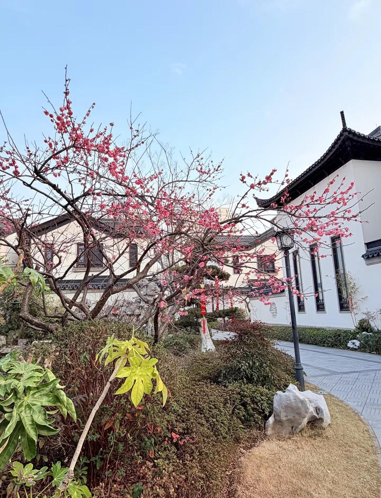 心安茅屋稳，性定菜根香。世间繁华万千，都不抵内心一刻安宁。我们常向外追逐，却忘了