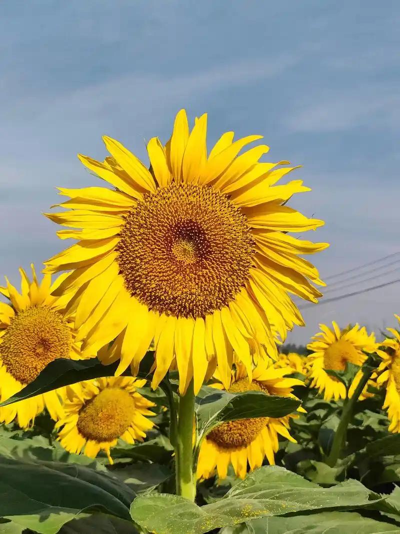 大部分人到死才明白的道理：“人总有一天是要死的，很多人整天都在忙着赚钱，但其实那