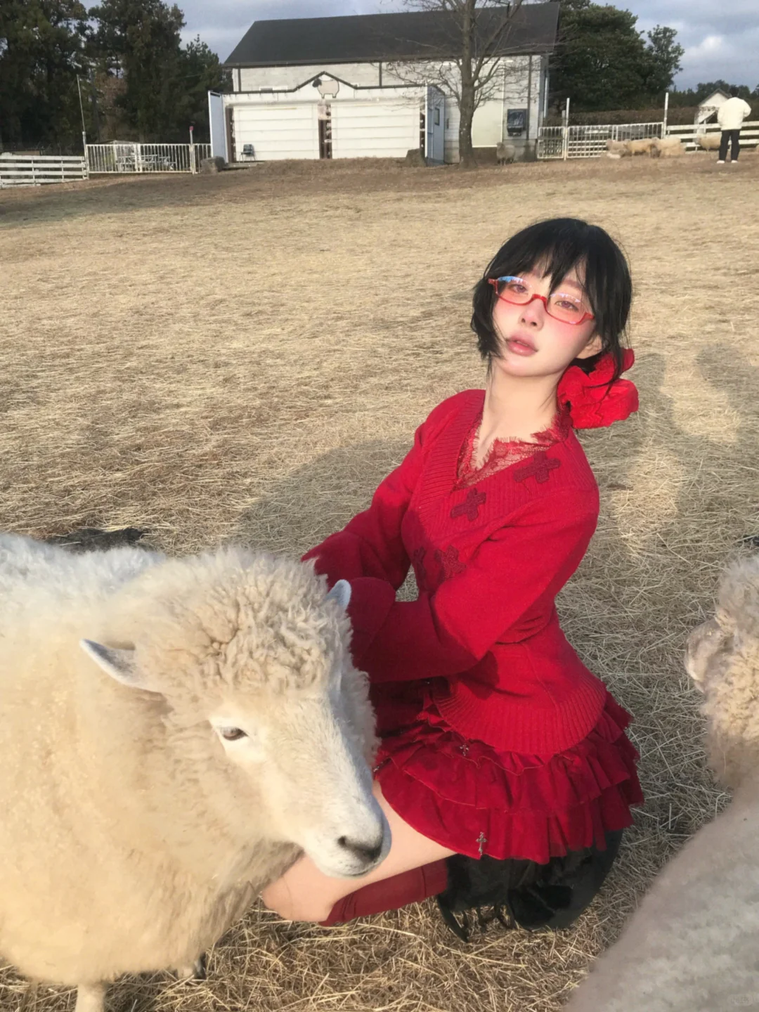 jeju🐑 baalamb