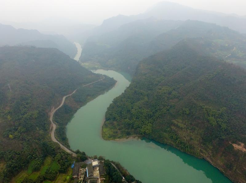 都江堰紫坪铺水库被放生大量埃及塘鲺这事闹得沸沸扬扬。一开始有消息说有人在这水库放