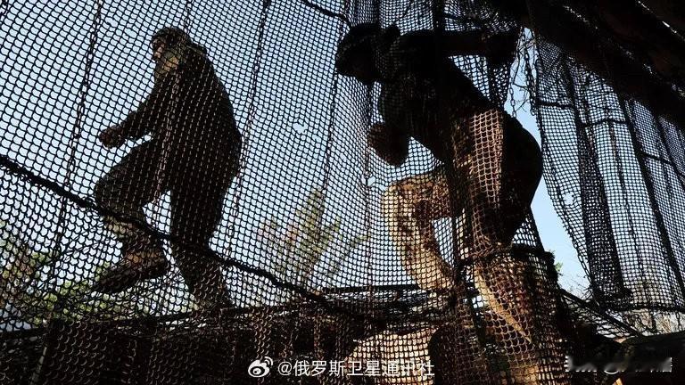 【俄罗斯总统助理称乌军迟早要从顿巴斯撤走】
据《俄罗斯卫星通讯社》消息，俄罗斯总