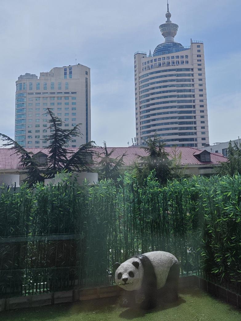 你支持“伴侣动物”立法吗（8～3）虽然俺怕狗怕猫，也不会去养狗养猫的，但俺还是支