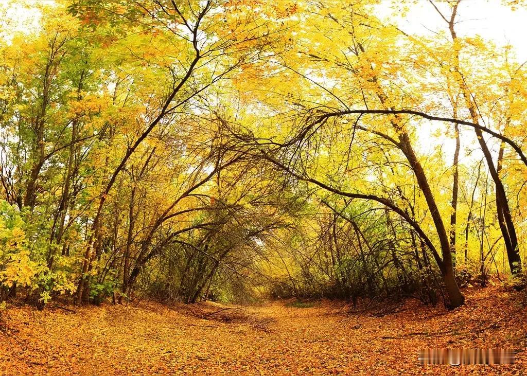 有点意思了，跳出来一位。
不划分（阶级）不等于没有阶级斗争；取消以阶级斗争为纲不