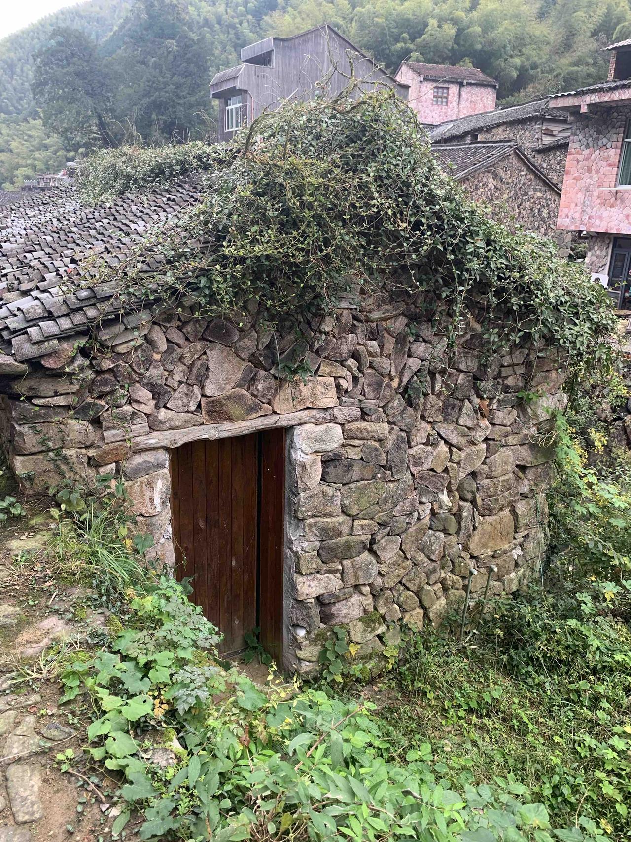 春日真的太美好了！抬头就能撞见那春日限定的蓝，阳光把天空洗得透亮，风里全是温柔的