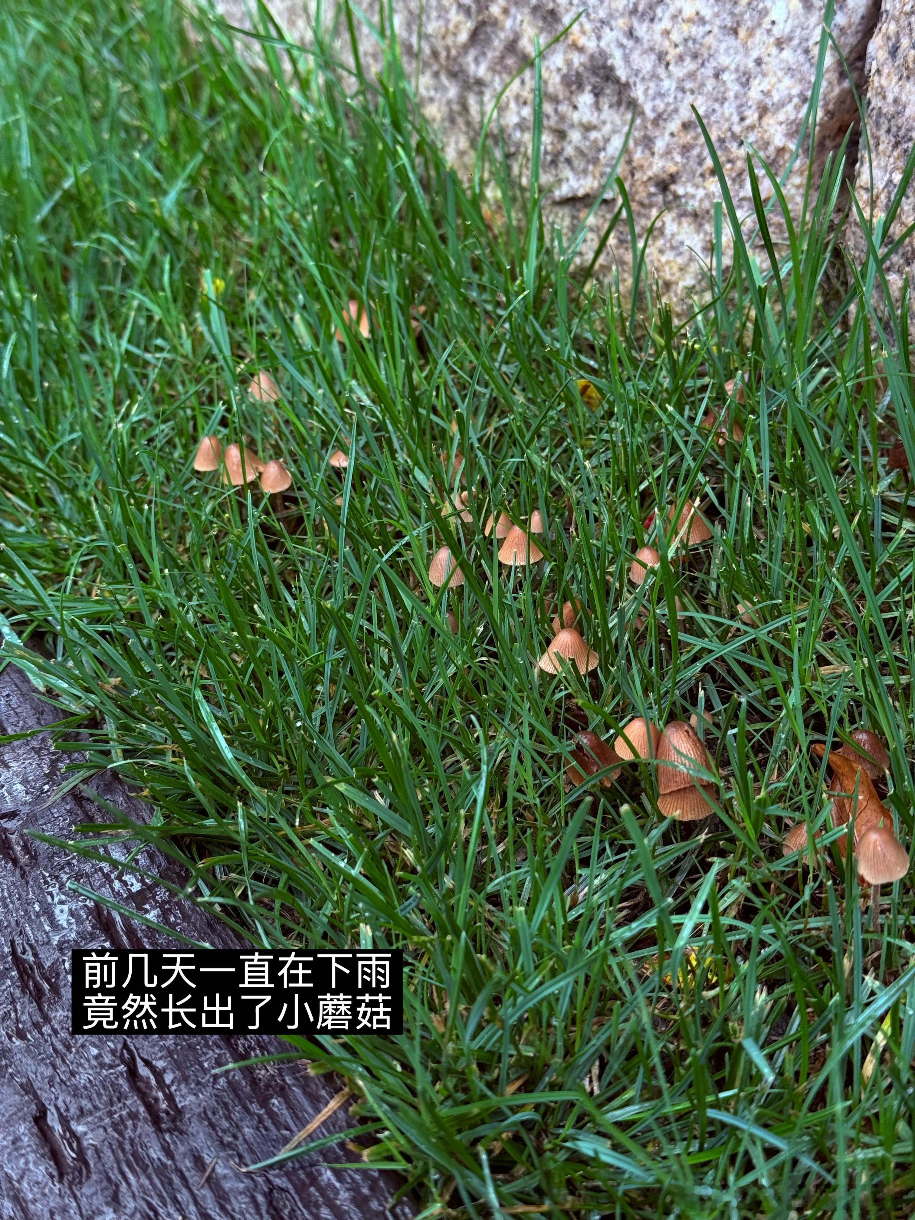 高精力的一天，开了4个会下班去做热玛吉啦✌🏻 
