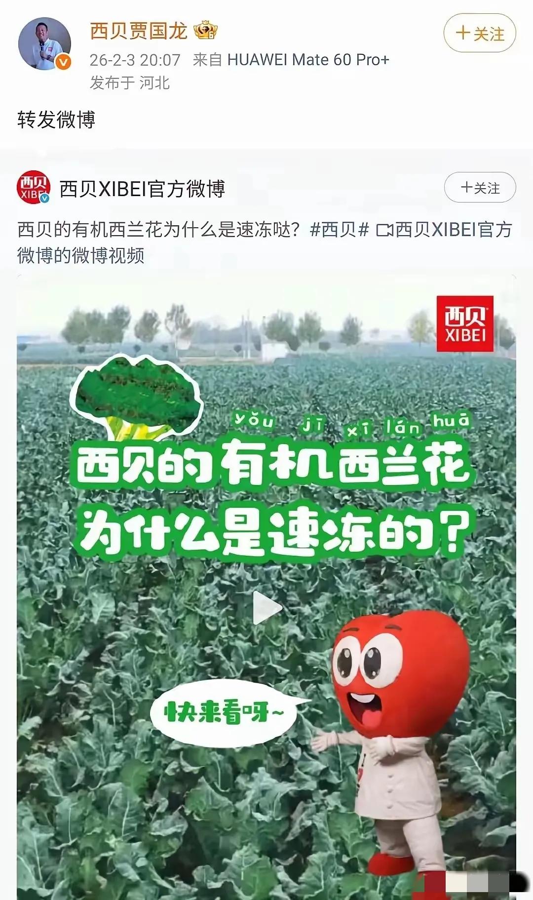 老贾这是什么样的脑回路啊？生怕网友们记不得了，竟然自己主动念叨他的西兰花！

他