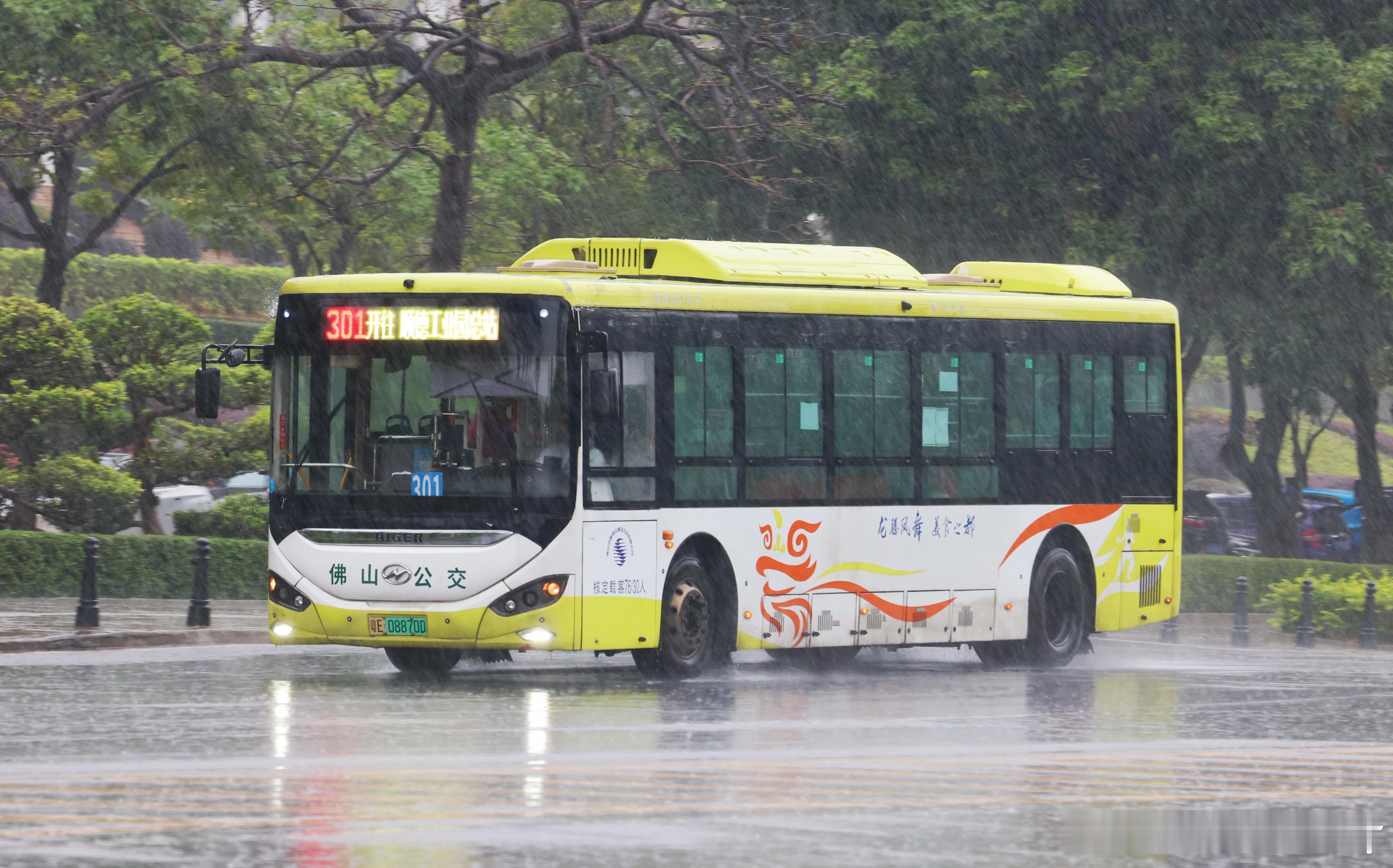 美丽二踏蔚蓝顺德这个涂装是真好看啊