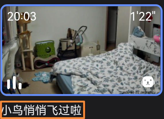“小鸟悄悄飞过啦”张小满你没事吧？ 