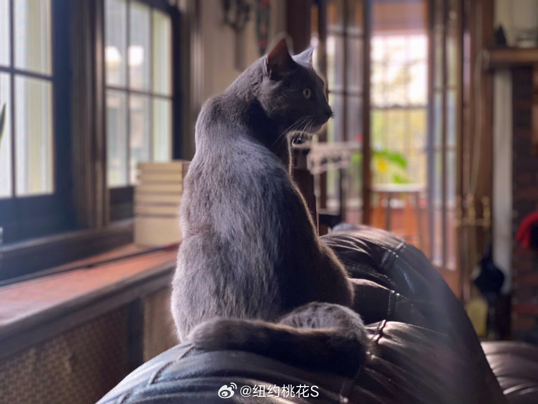Chino与波切斯特的旧时光今天偶然翻到一张旧照片，拍摄于2020年8月26日。