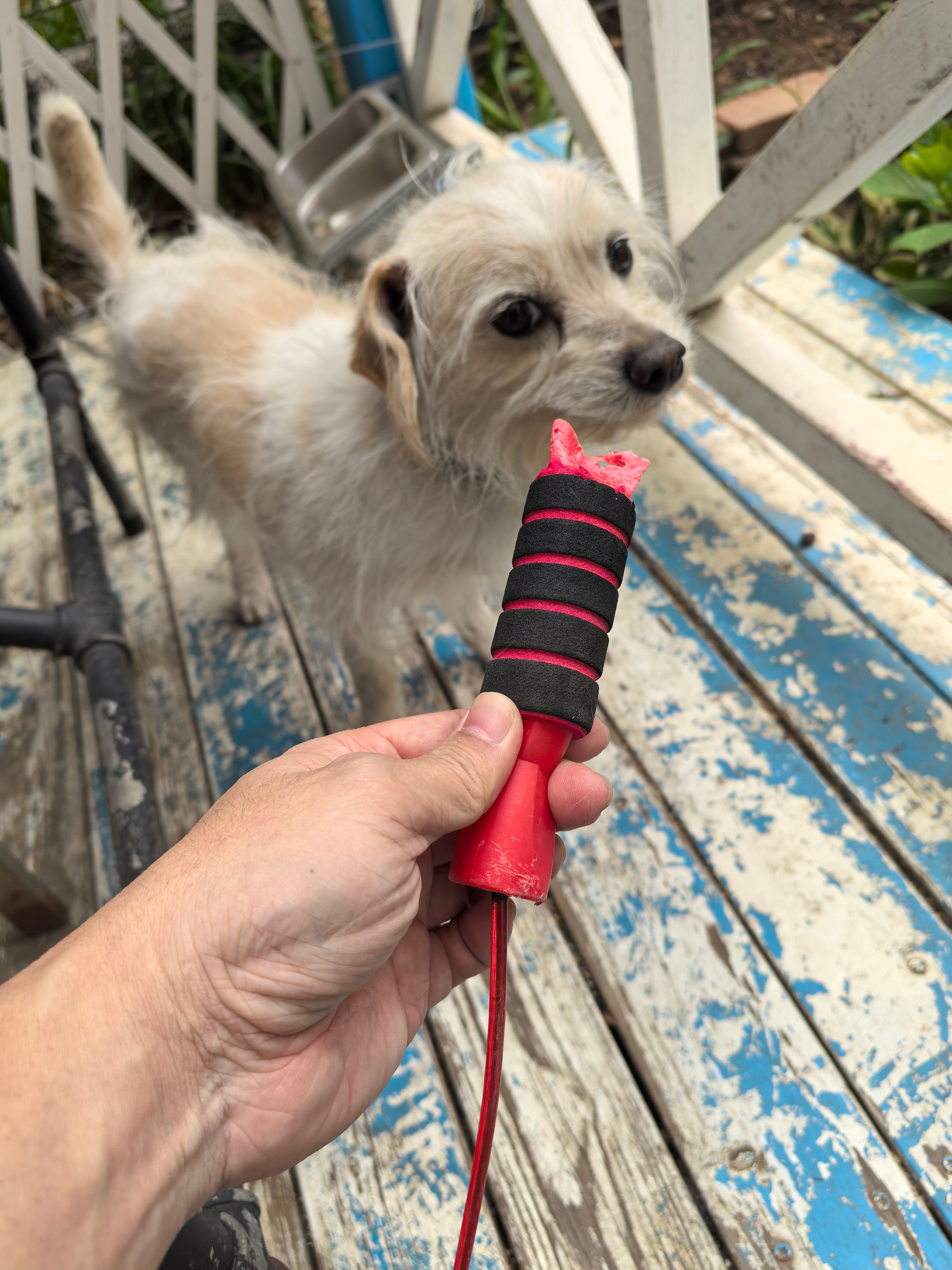 我家小南又犯错误了…… 