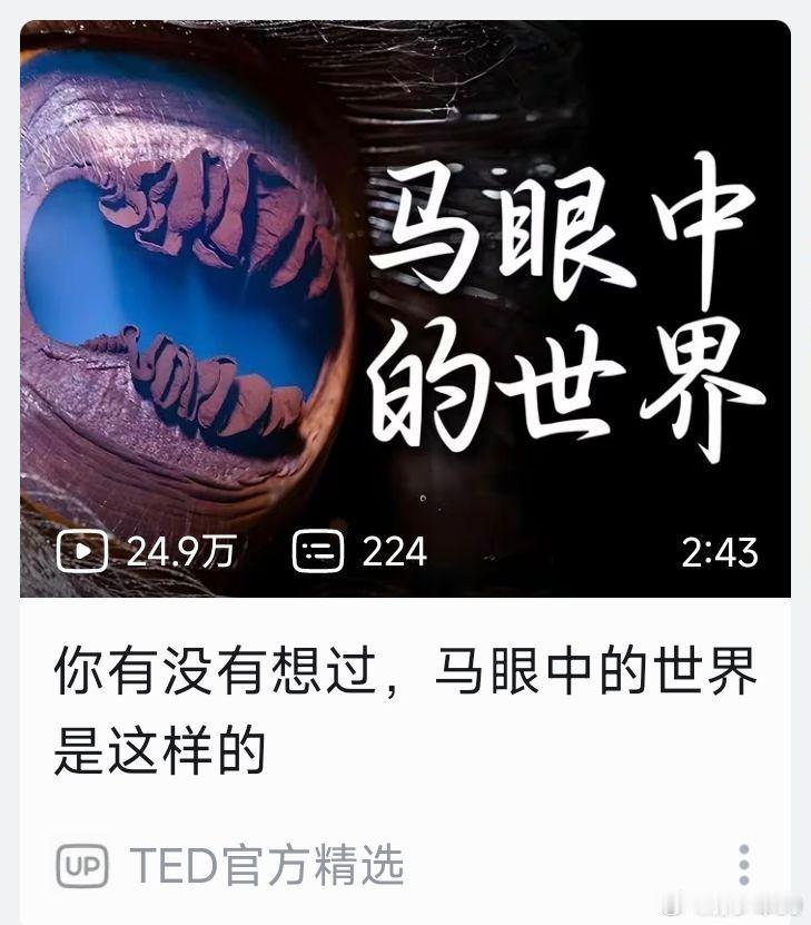 这标题说不是故意的都没人信[二哈] 