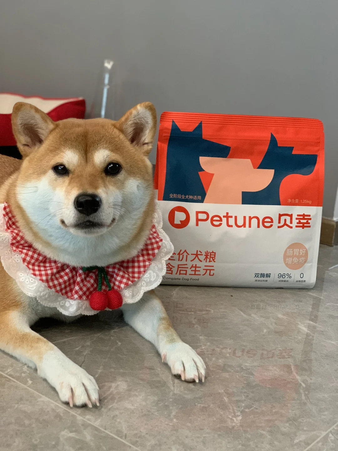 挑食小狗！你把妈妈拿捏了🤏🏻