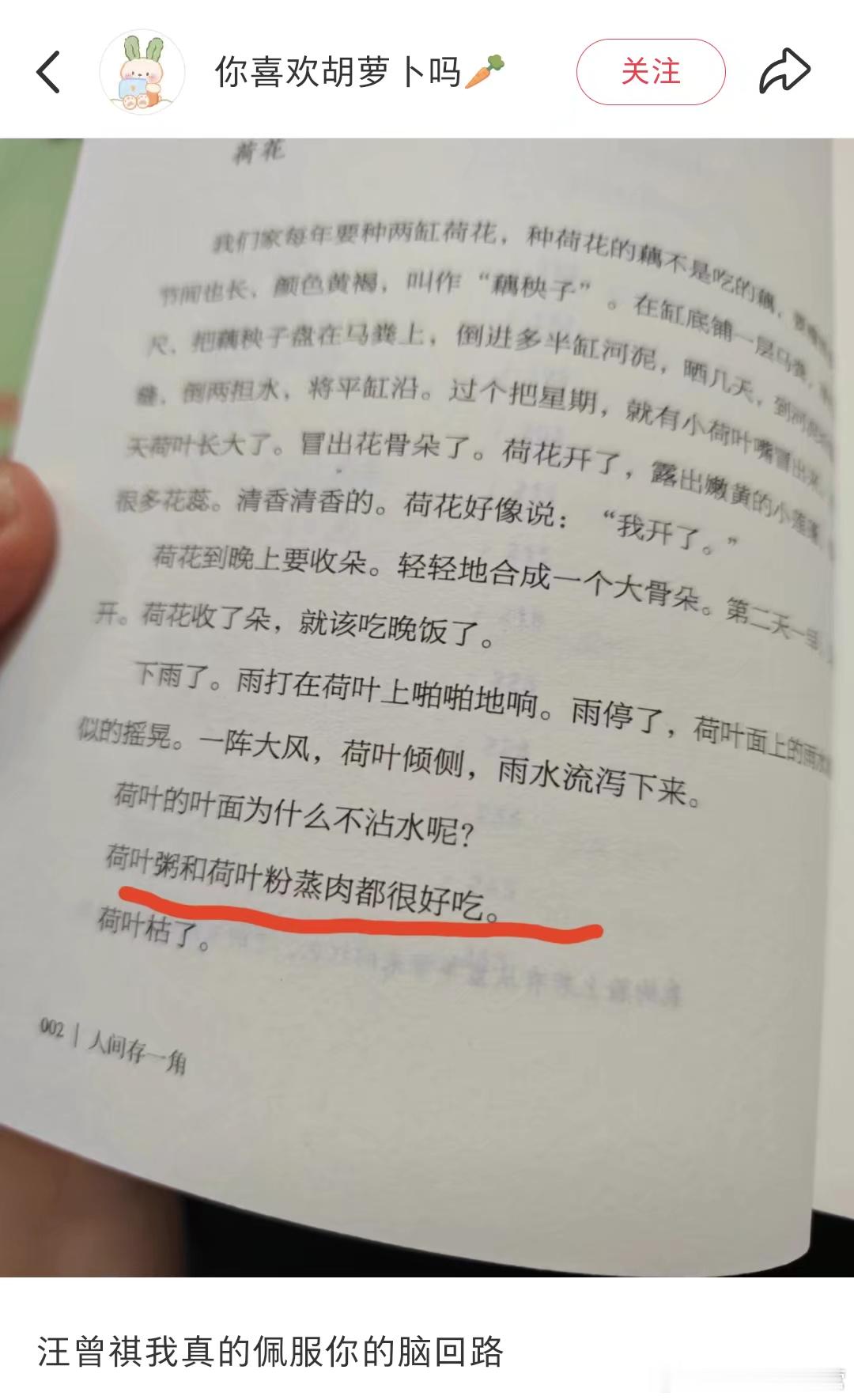 神秘的插叙 