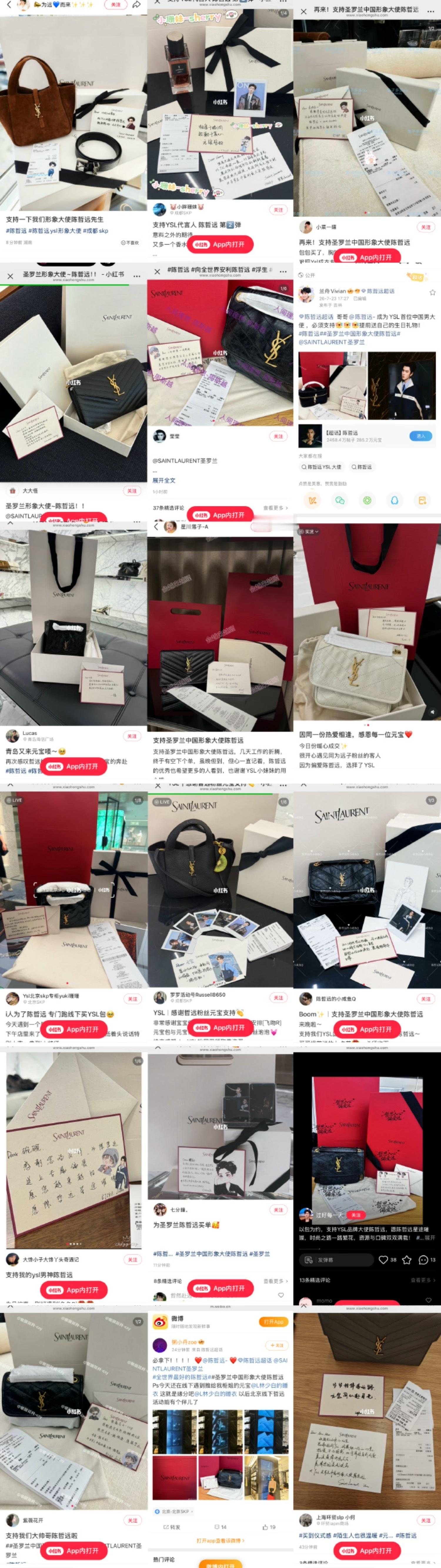 陈哲远空降官宣圣罗兰3天晒单145单.我天啊.YSL高奢耶.晒单的98%是包起步