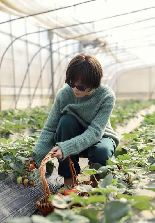 孙俪去大棚摘草莓，有一股农场主的气质，绿色毛衣搭配绿裤子采摘，好有春天的感觉！不