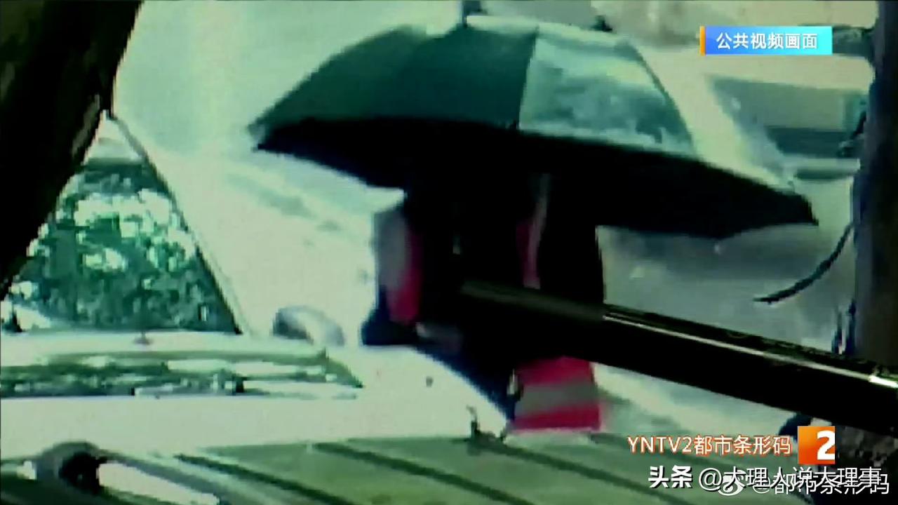 昆明这事儿太离谱了！有市民报警说停路边的车被恶意划伤。

民警调监控发现，是个收
