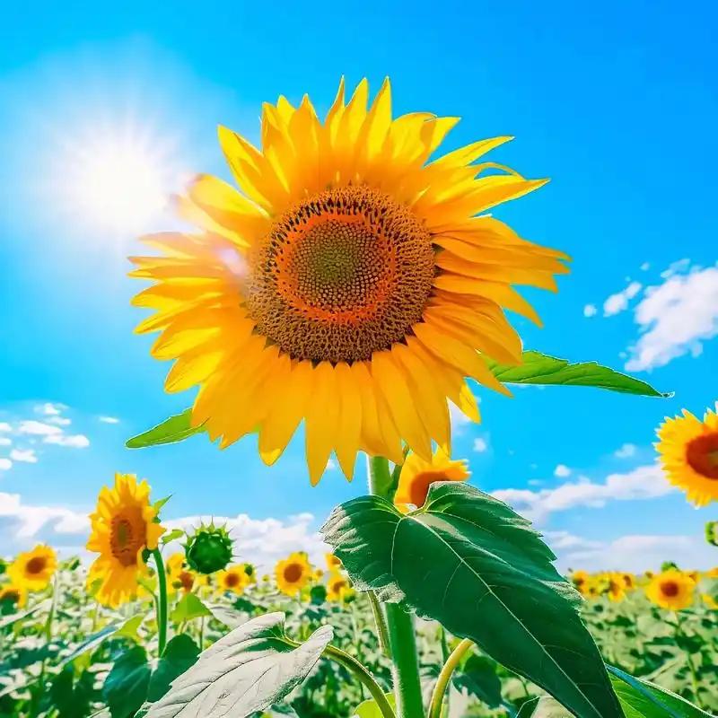 请你一定一而再再而三的相信好事即将发生！
我们要坚信，凡事发生，皆有利于我！
 