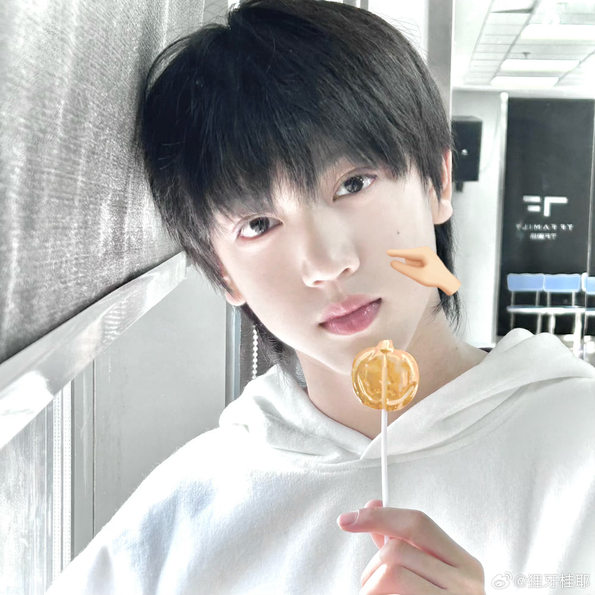 想念一个腮腮肉🤲🏻  专栏 · 圆圆呀