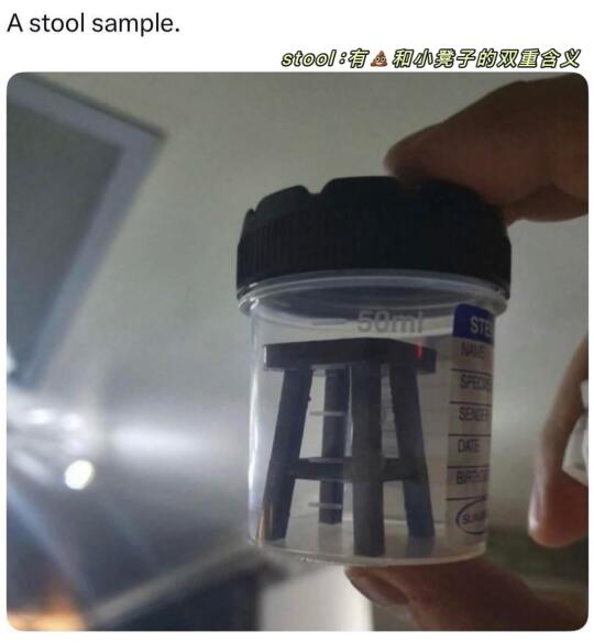 🫙一些搞笑的英文梗图🪑