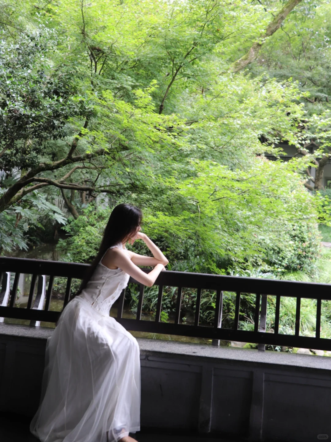 独步仲夏风