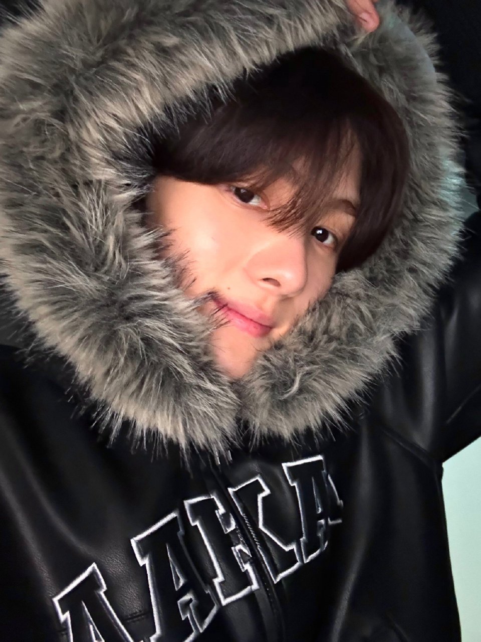 此猪儿竟想装狮子