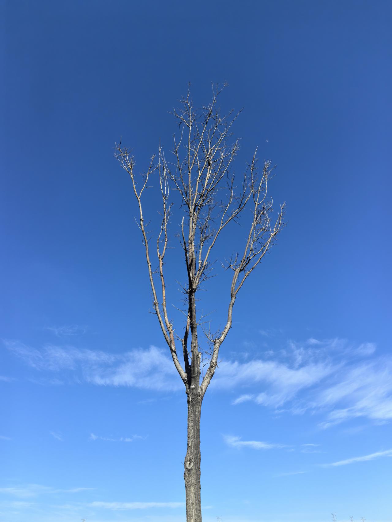 分享一张有意境的照片吧
