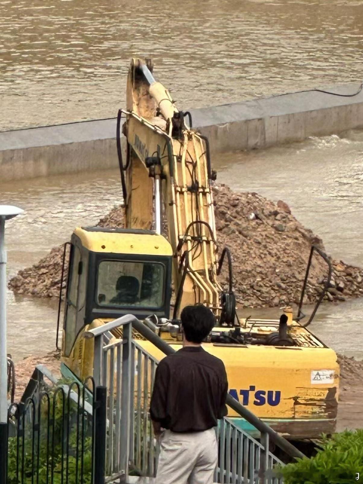 梧桐落 早上好