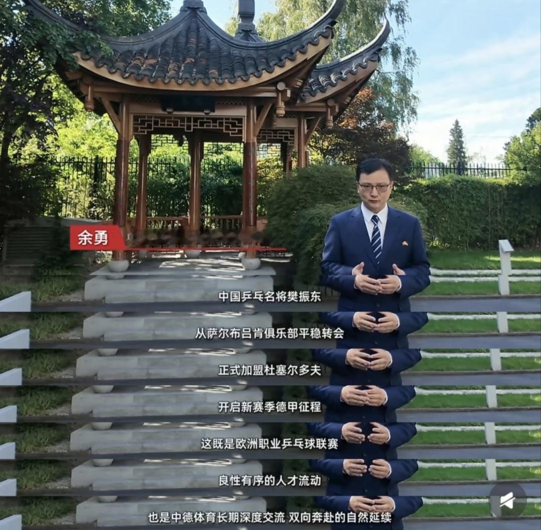 樊振东远征杜塞，官方背书[心]