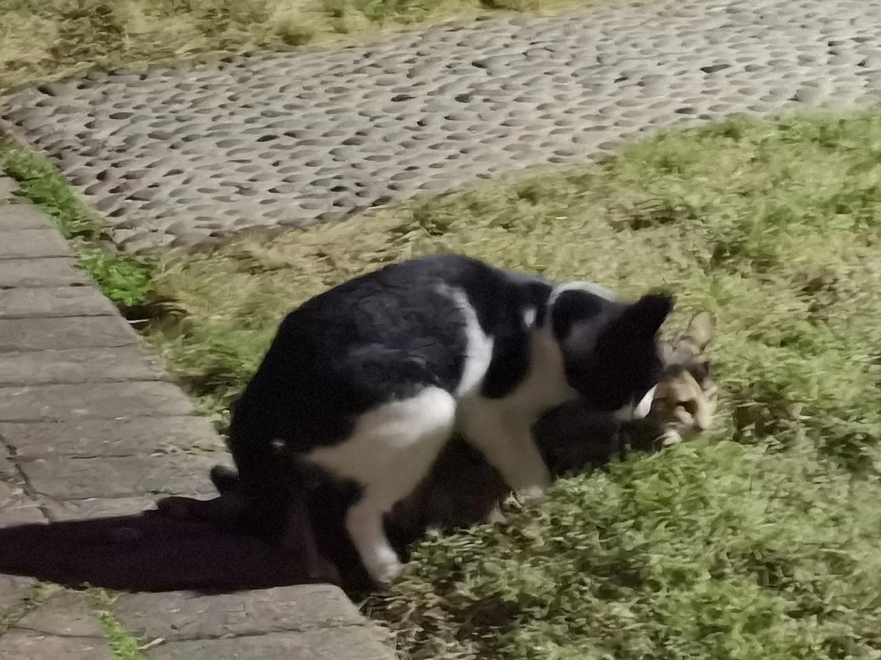 节日余额不足，很多人开始背井离乡的返岗模式。

这短短的得假期就像是老人甚至还有