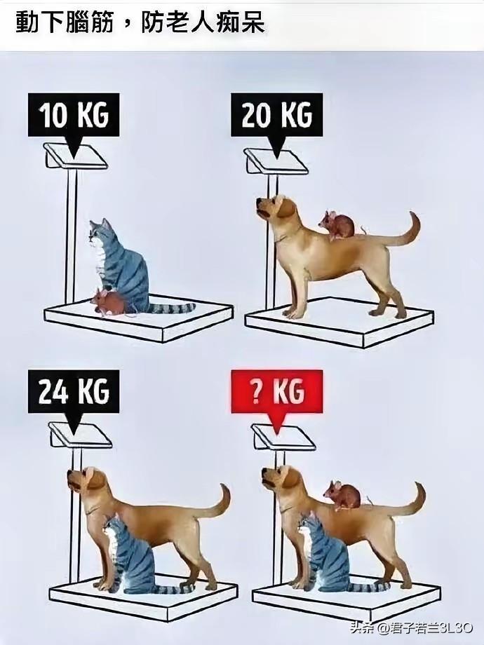 哎呦喂，完了，今年58岁，看了题目也想试试，结果一个小时过去了还是没有答案，貌似