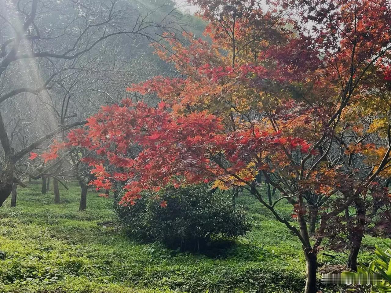 人在踏出第一步之前，
永远不知道第二步在哪里；
踏完第二步，又有了意外的第三步。