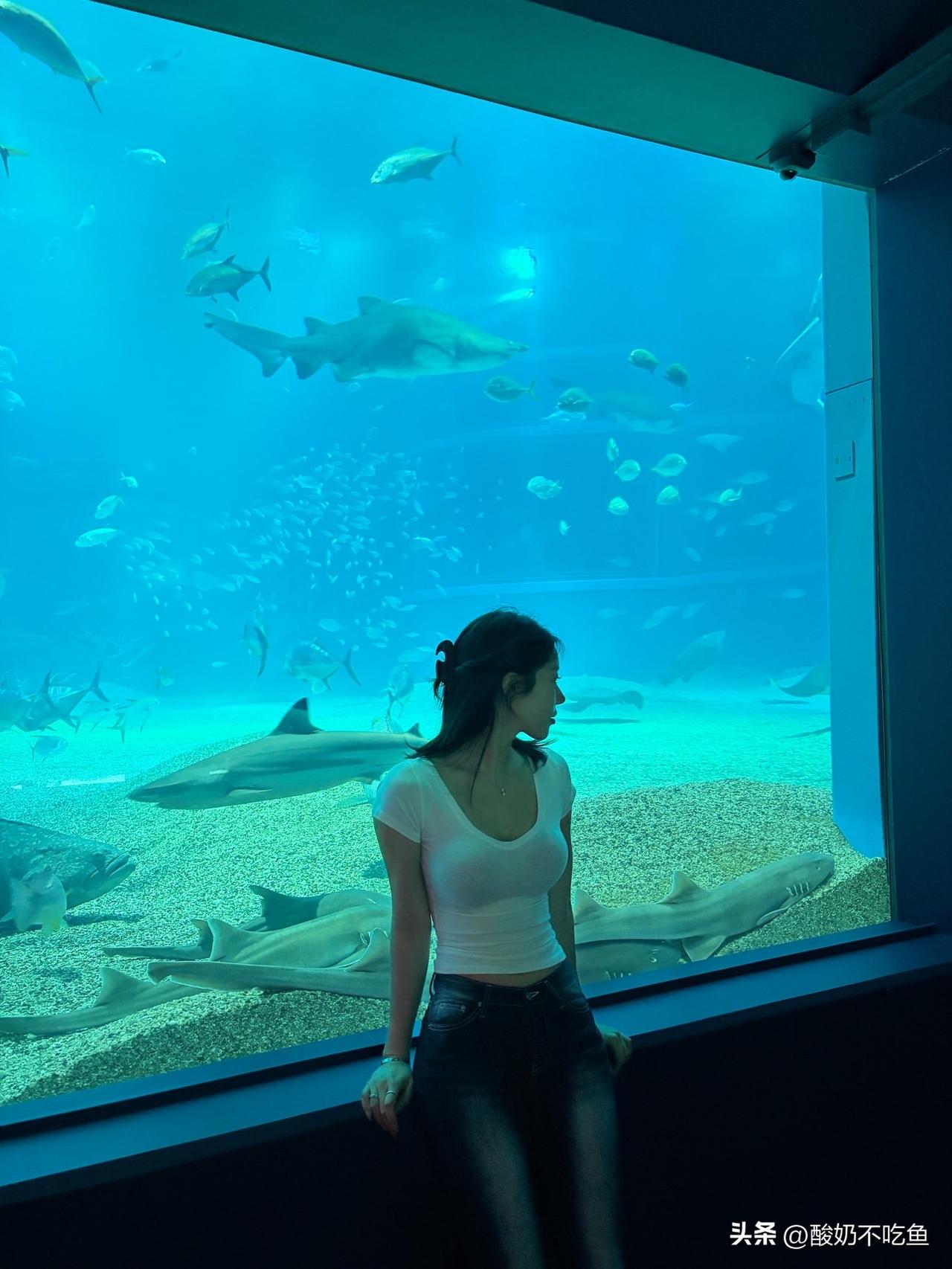 ，。，“心怀浪漫宇宙，也珍惜人间日常.”