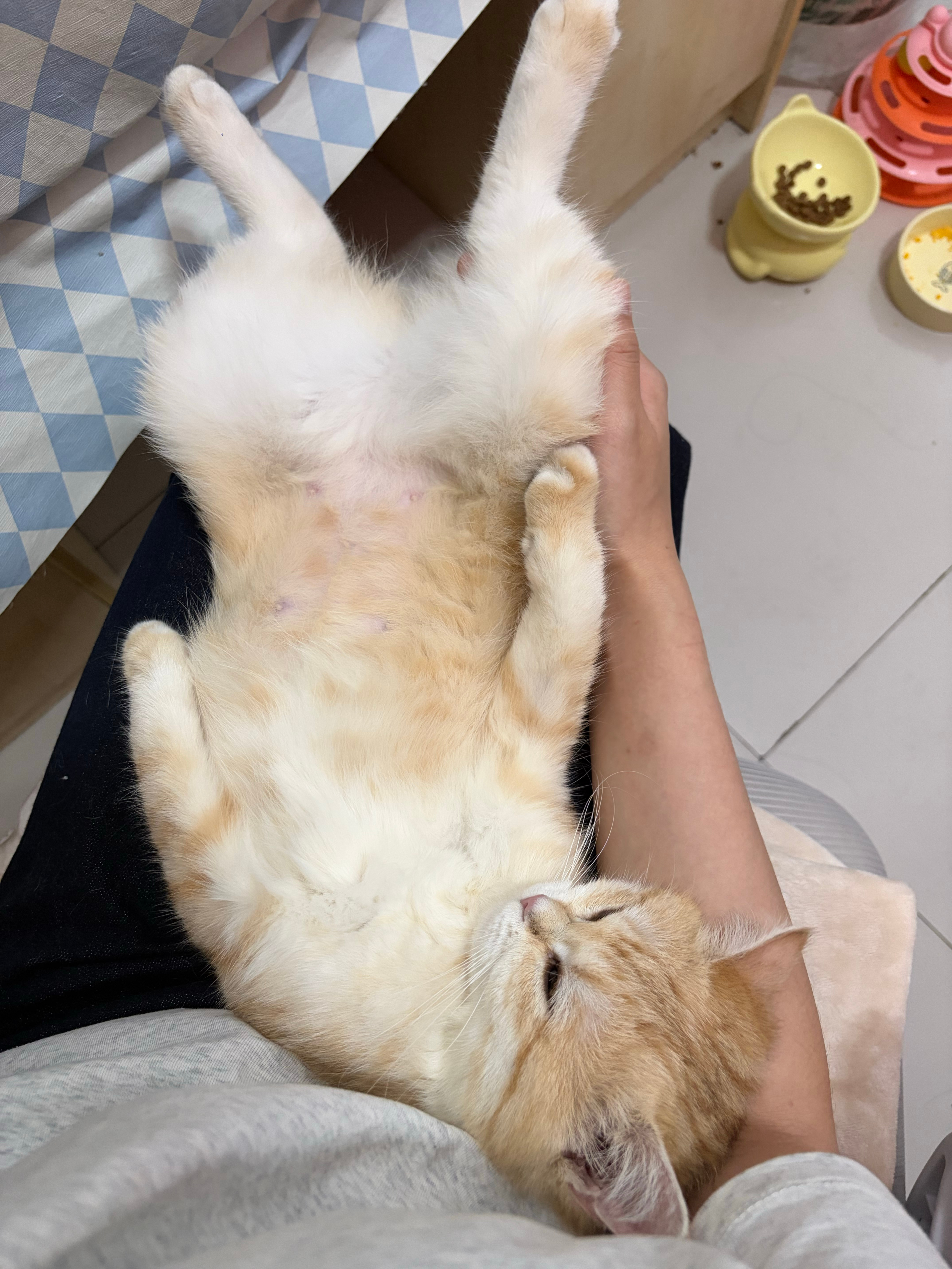 睡姿逐渐变得销魂 