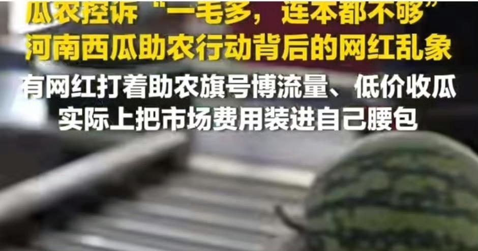 【趁火打劫：滞销西瓜被网红压价到一毛多一斤】
    河南西瓜大面积滞销，地头价