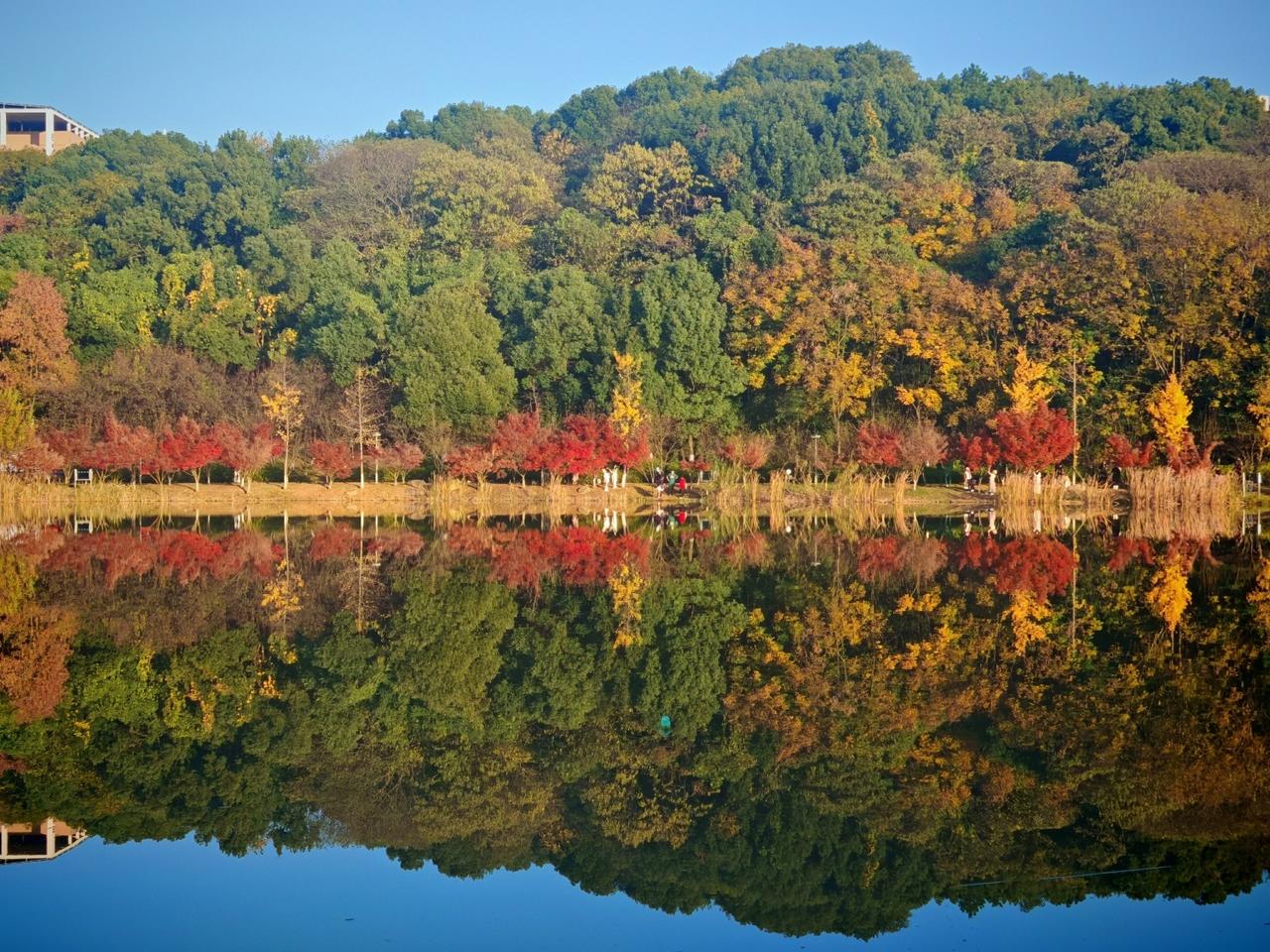读《近思录》之2.89.6

又作《砭愚》曰：戏言，出于思也；戏动，作于谋也。发