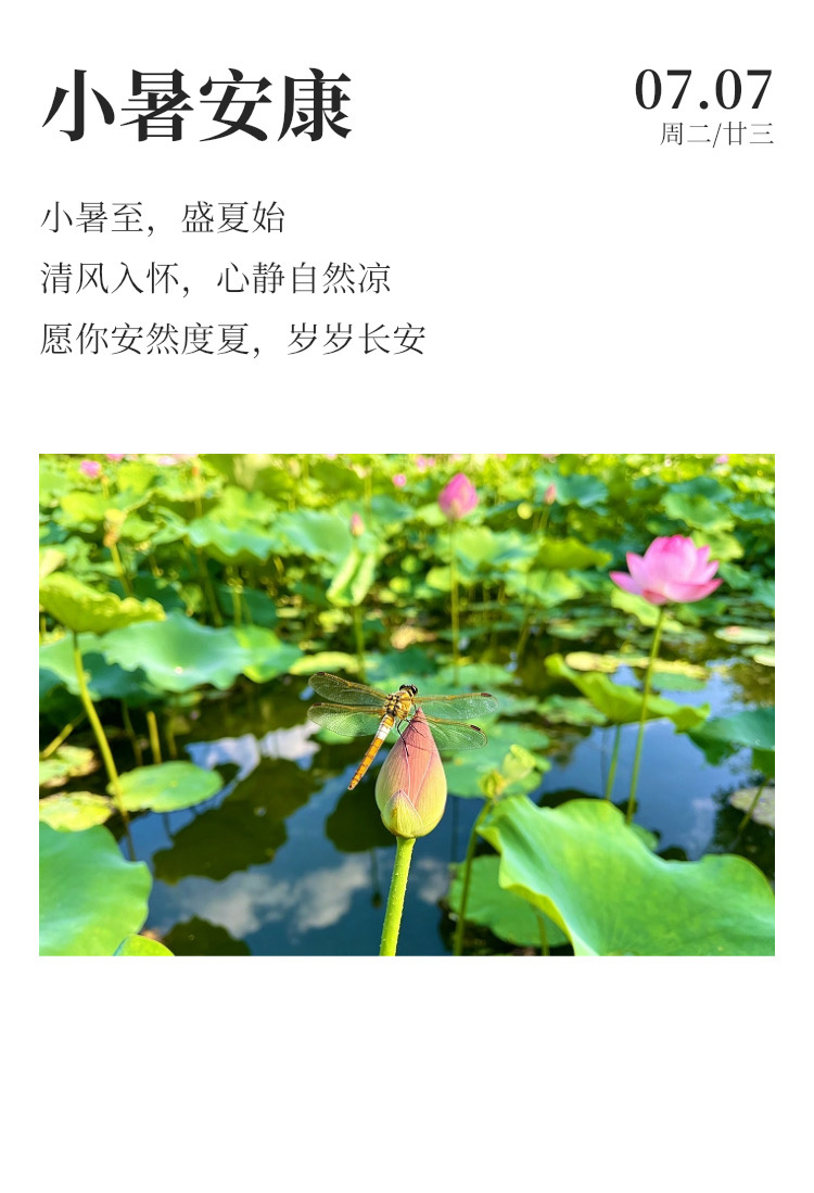 早安  ⛈️每日早起打卡 倏忽温风至，因循小暑来。今日小暑，气温逐渐回升，愿你小