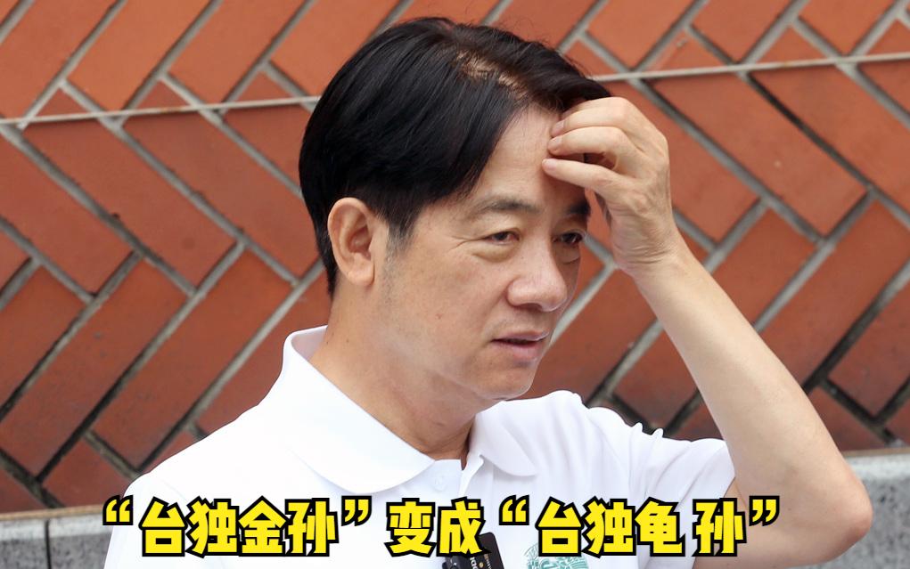 嬉笑怒骂，一针见血！美国伊利诺芝加哥大学教授汪志雄今日投书台媒痛骂：“赖清德从来