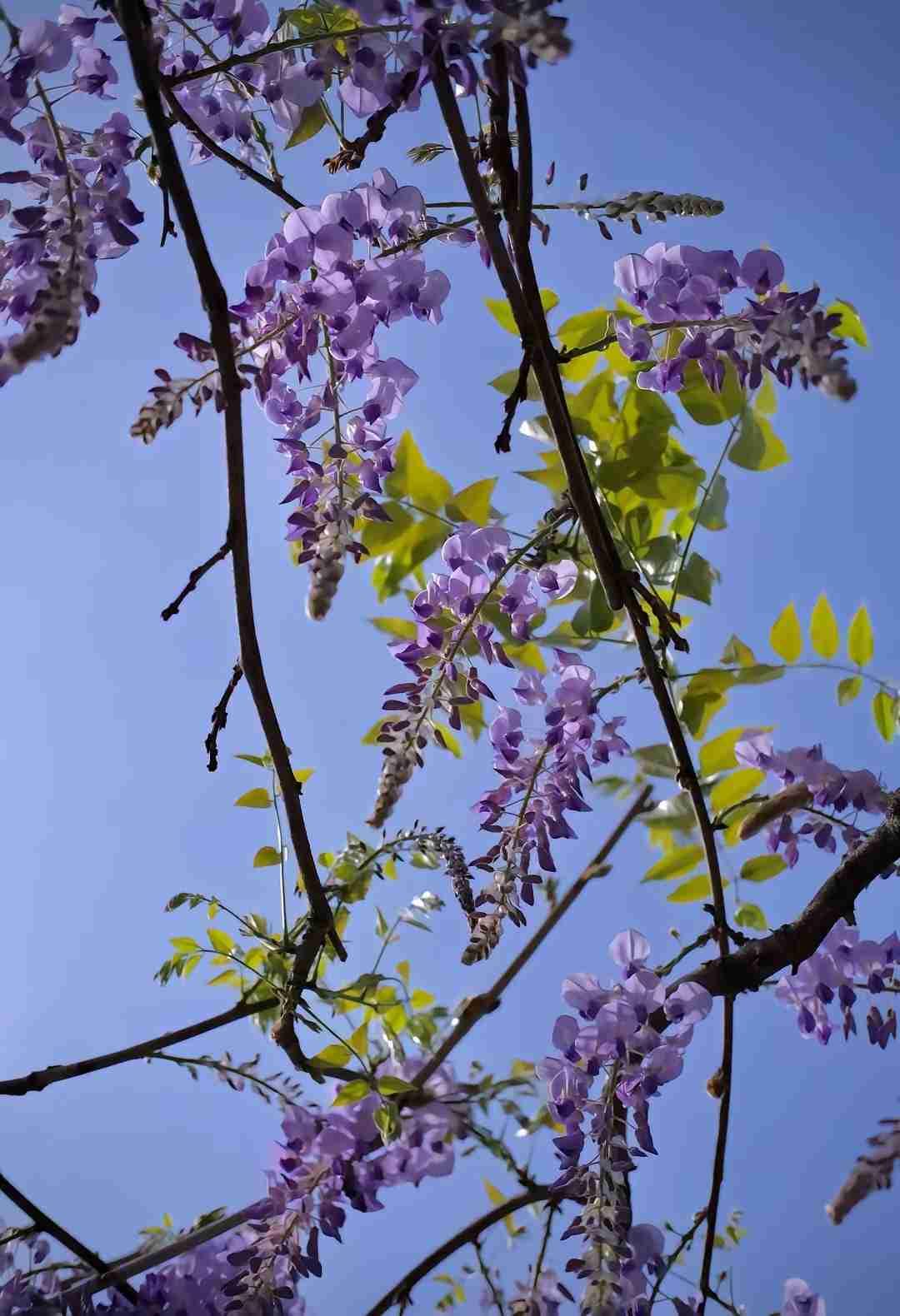 我的今日状态：🏝️旅行度假
我这里的天气：🌤️多云