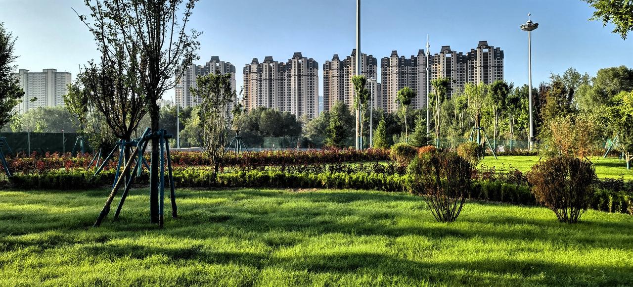 阳光洒满的公园，绿意盎然，高楼林立，静享美好时光。🌞🌳🏙️