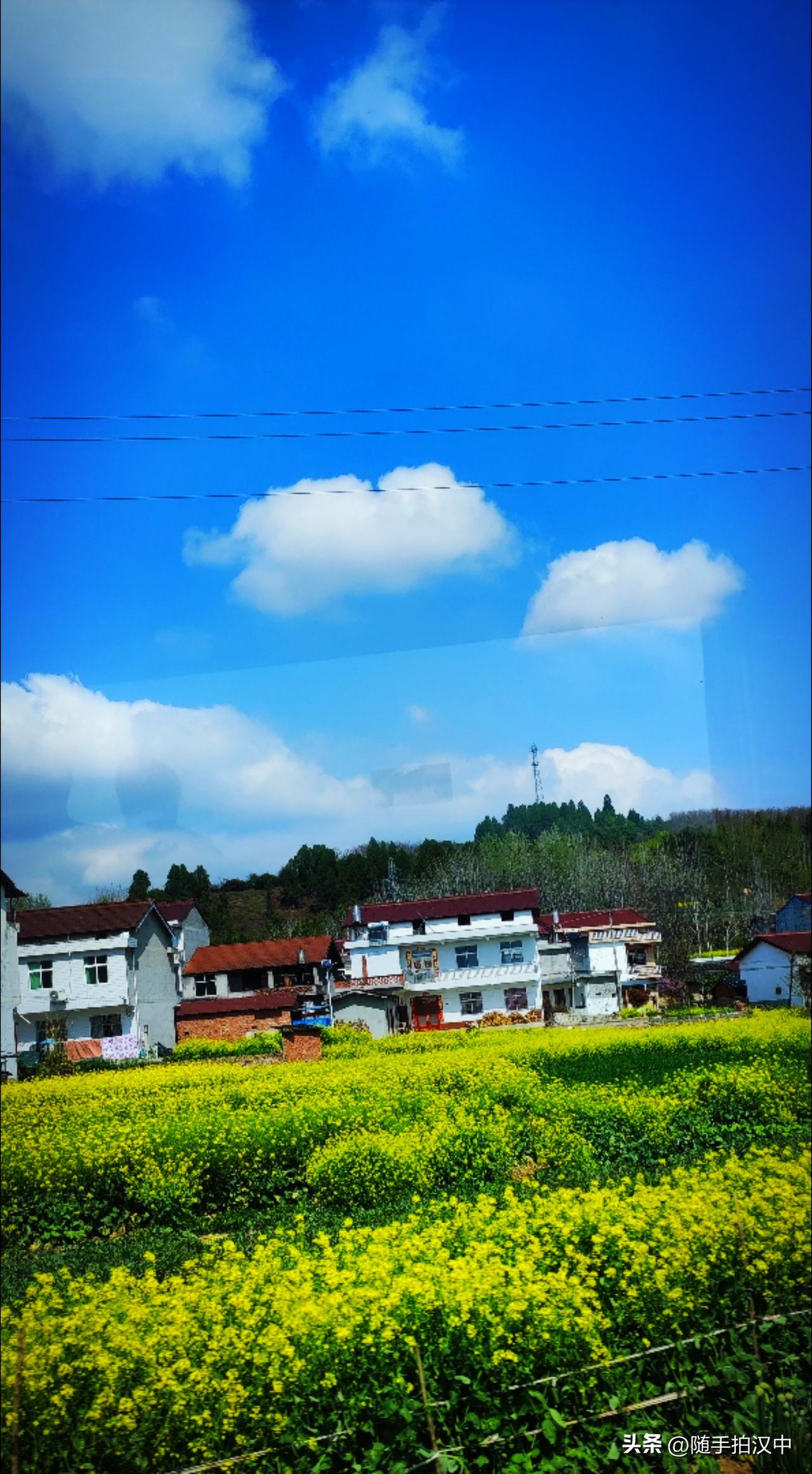 太阳一出来，风是青的，大地变得明朗通透。蜜蜂一出现啊，所有生命都进入一个肆意张扬