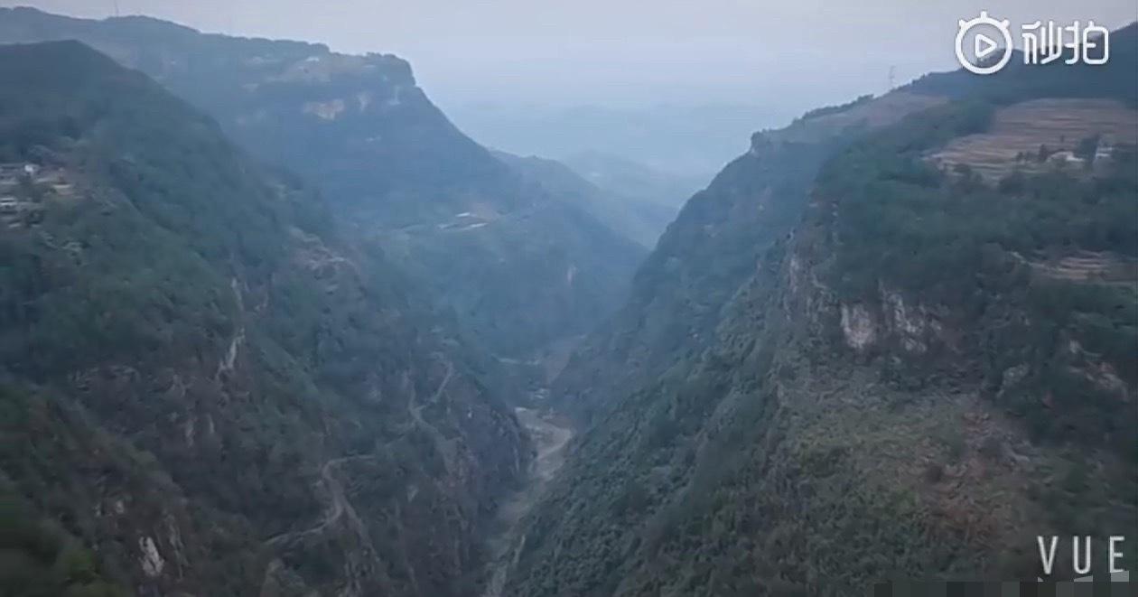 我爸在老家监工种树，老家大片松树林换种另一种树，听说今天下午上面来人验收检查，有