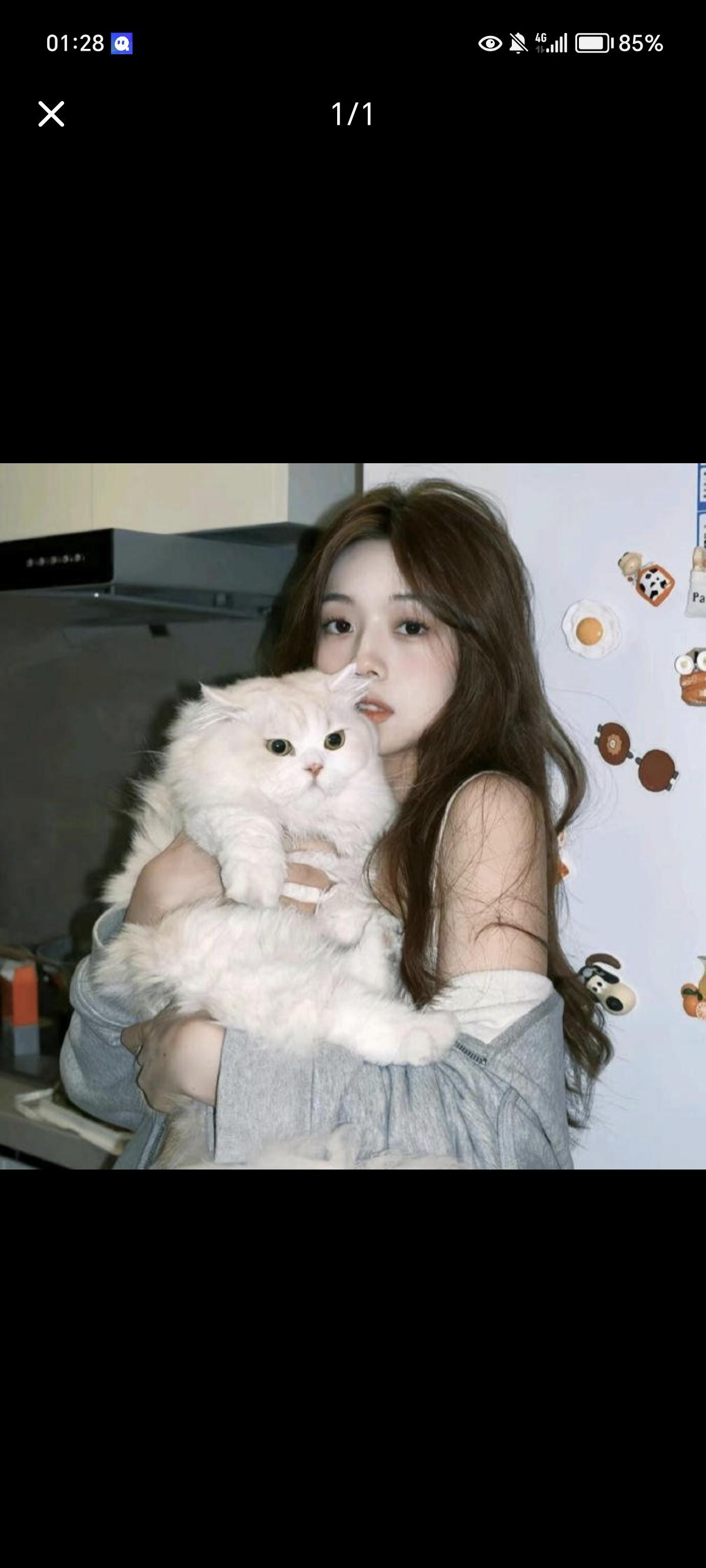 你们喜欢什么类型的美女她