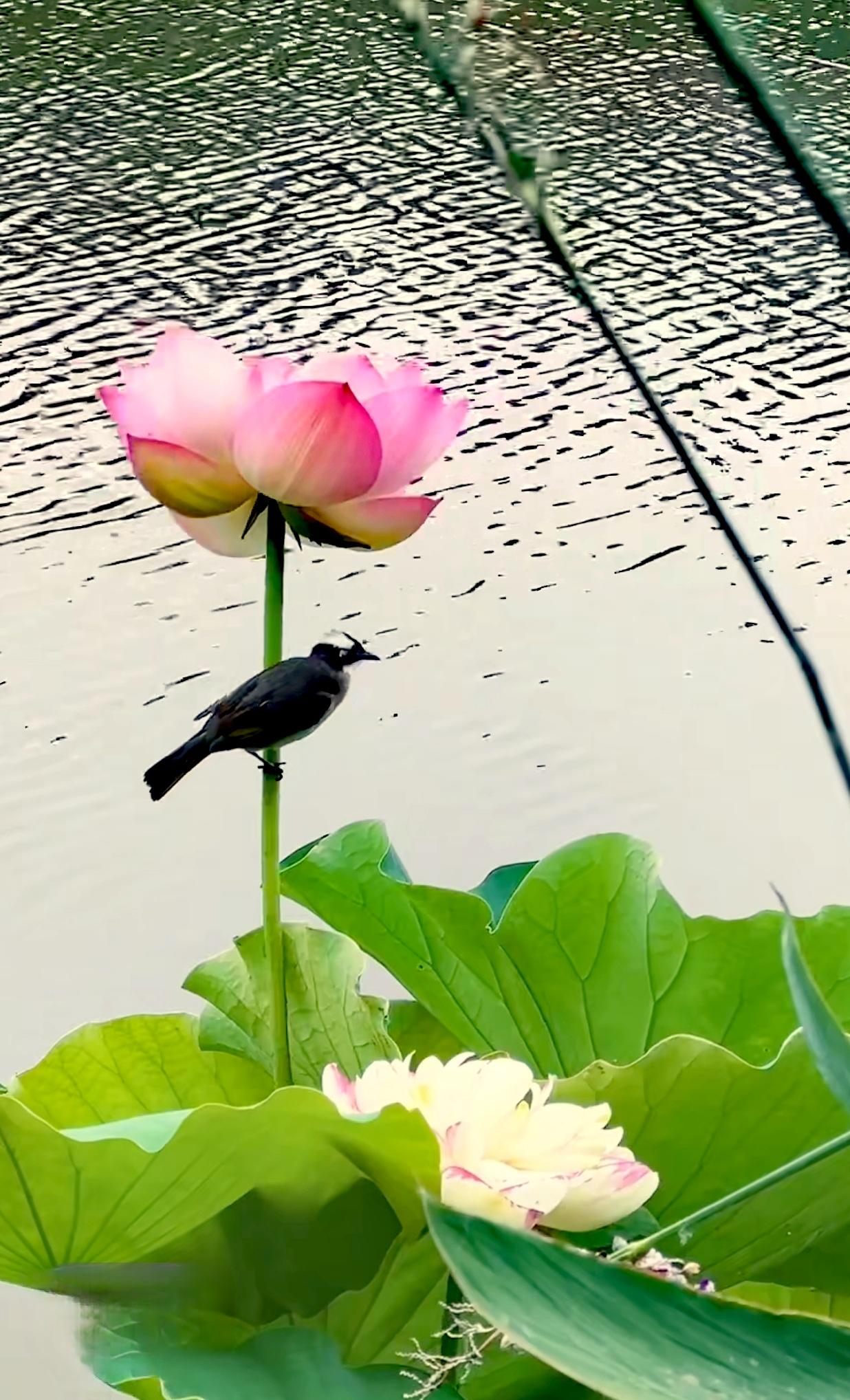 随手拍～